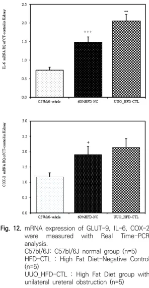Fig.  12.  mRNA  expression  of  GLUT-9,  IL-6,  COX-2  were  measured  with  Real  Time-PCR  analysis.