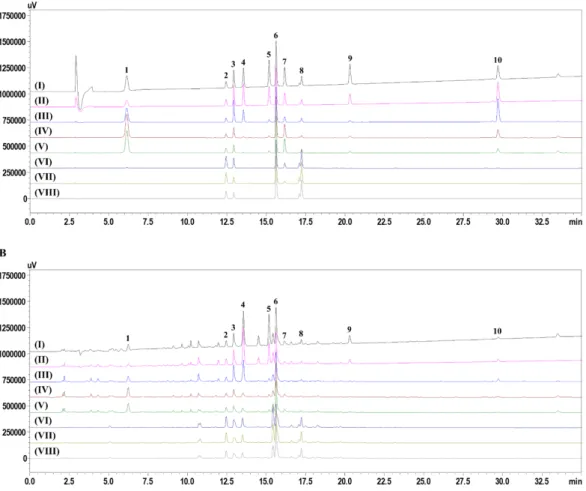 Fig. 2. Typical HPLC chromatogram of standard solution (A) and  Gamisoyo-san  decoction (B) at UV wavelength  230 (I), 240 (II), 254 (III), 270 (IV), 275 (V), 325 (VI), 335 (VII) and 345 (VIII)