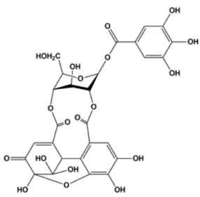 Fig.  1.  Chemical structure of furosin (Fur).다.1)  흥분 독성은 뇌에서 과다 분비된 glutamate로 인해 세포의 발화 역치가 비정상적으로 낮아지게 되고, 적절한  제어가  되지  않아  세포  사멸을  일으키게  된다.2)  산화적 손상은 세포내 비정상적인 활성산소종의 축적에 의해 유도되며 glutamate에 의한 세포 사멸에서 매우 중요한 요인으로 알려져 있다.3)  이러한 신경세포  사멸은  알츠하이머병  