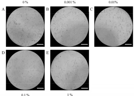 Fig. 1. Evaluation of cell morphology on Day 1 using inverted microscopy following treatment with different concentrations  of PPT in osteogenic media