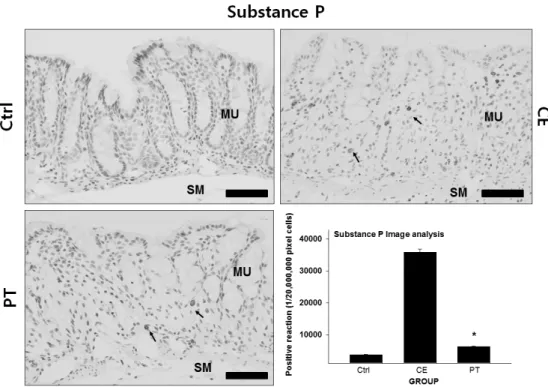 Fig. 2. The inhibitory effect of PE on substance P in the colon mucosa. Abbreviations: Ctrl, the mice which was not treated  anything; CE, the mice which was treated DSS only; PT, the mice which was treated both DSS and PE; MU, colonic  mucosa; SM, submuco