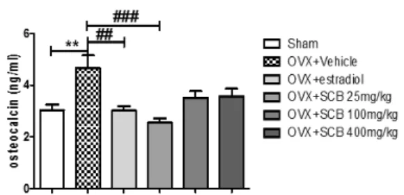 Fig.  5. Effects of SCB on osteocalcin in ovariectomized  mice (OVX). Data are shown as mean ± S.E.M