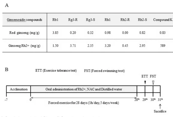 Fig. 1. Quantitative analysis of Ginseng Rh2+ and experimental scheme. 