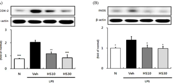 Fig. 2. Effects of HS on NF-κBp65 activity in LPS-induced ICR mice liver.  N: normal group, Veh: vehicle-treated  mice, HS10: HS 10 mg/kg treated mice, HS30: HS 30 mg/kg  treated mice