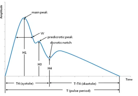 Fig.  4.  Radial  pulse  waveformat each level. The data at each level included five 