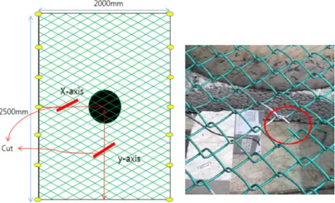 Fig. 2. Cut Plots and Photo