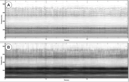 Fig. 5. Spectrogram. A : Narrow band spectrogram. B : Wide band spectrogram.