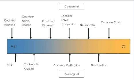 Fig. 1. Indications of ABI and CI. ABI : Auditory brainstem implant, CI : Cochlear implant