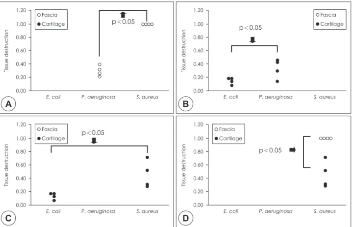Fig. 3. Difference of tissue destruction between pathogens in accordance with type of graft
