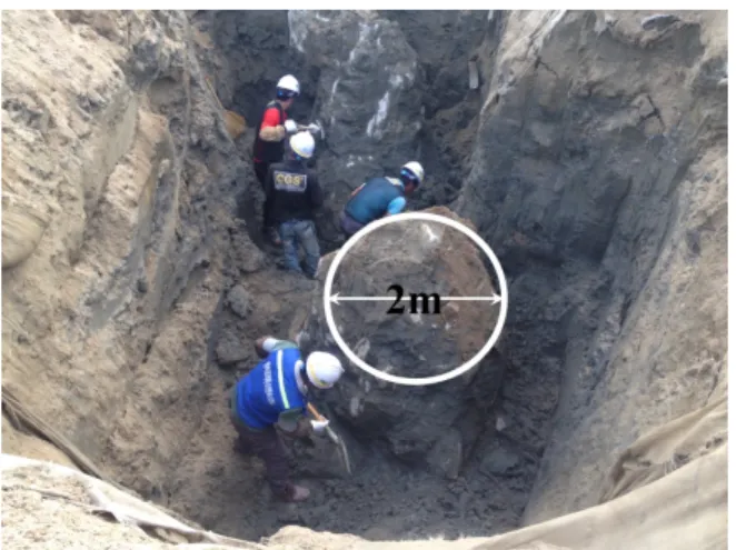 Fig. 5. Grout-bulb excavation and its size measurement