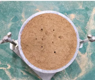 Table 5. Depth of penetration depth (mm) of a compaction sample  with maximum allowable particle diameter of 2.36 mm