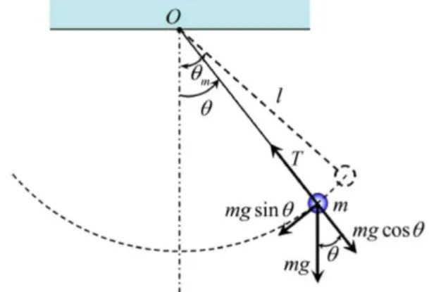 Fig. 1. (Color online) The simple pendulum motion un- un-der the acceleration of gravity.