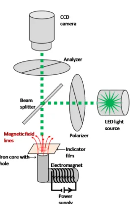 Fig. 1. (Color online) The schematic diagram of magneto-optical imaging setup.