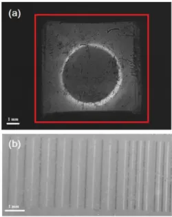 Fig. 3. (Color online) Magnetization loops for the pre- pre-pared films under in-plane and out-of-plane magnetic fields.