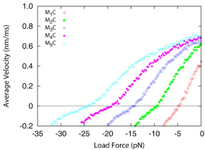 Fig. 6. (Color online) Force-velocity data obtained from simulation for multiple motors attached to a cargo (M N C)