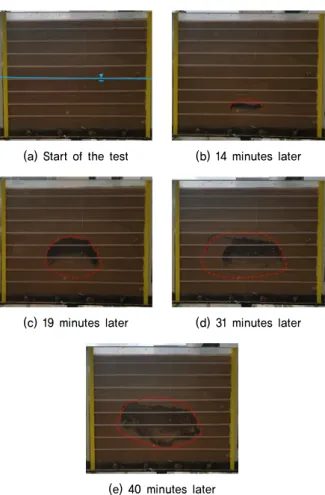 Fig. 5. Ground collapse with ground water level lowering, Case 