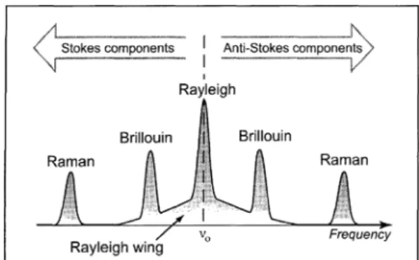Fig. 1. Typical spectral components resulting from light scattering수동 탐상기를 활용하거나 인력으로 검측하기 때문에 궤도의 이상거동을 알아내는 것은 쉽지 않다