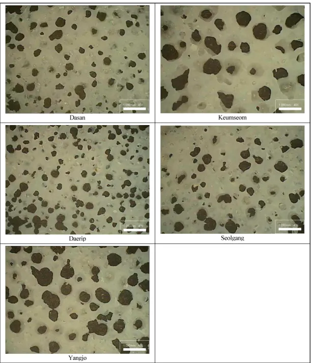 Fig. 2. Microstructure of cross section of Jeung-pyun according to the different type of rice(40×) 양조  품종으로  제조한  증편은  124.61%로  가장  낮았으며 다산 1호,  대립 1호,  설갱,  큰섬,  양조  품종의 순으로 팽화율이 높았고 시료간에 유의한  차이가 있었다