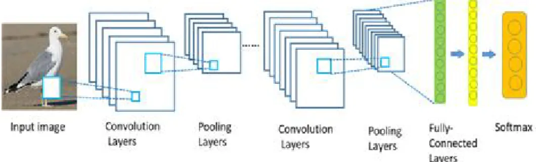 Figure 2.1 CNN architecture for bird recognition