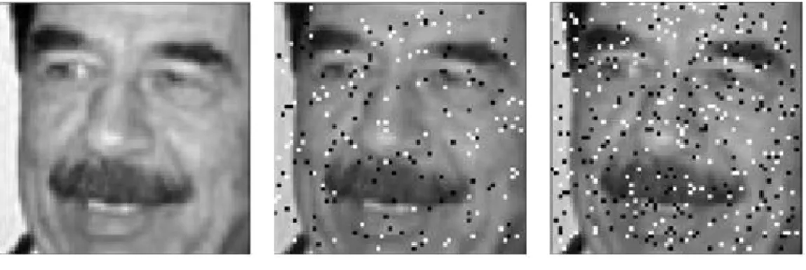 Figure 4.2 Impulse noisy images with an original image