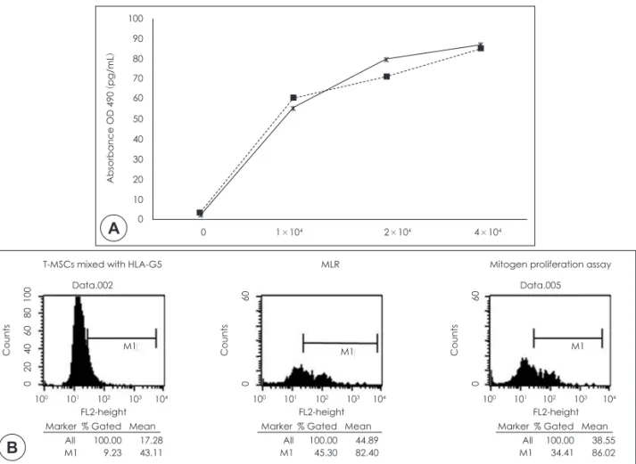 Fig. 6. Role of HLA-G5 was evaluated. HLA- G5 level changed as the concentration of T-MSCs was increased in both  the MLR (solid line) and mitogen proliferation assay (dotted line) (A) and it was analyzed by ELISA