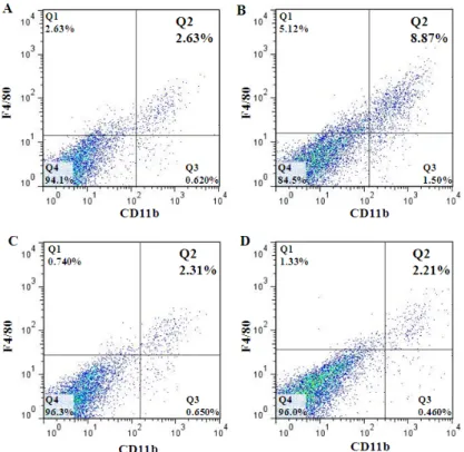 Fig. 4. Fluorescence Activated Cell Sorting(FACS) Analysis of Positive Cells of F4/80 and CD11b from a Mouse of Each Experimental Group.