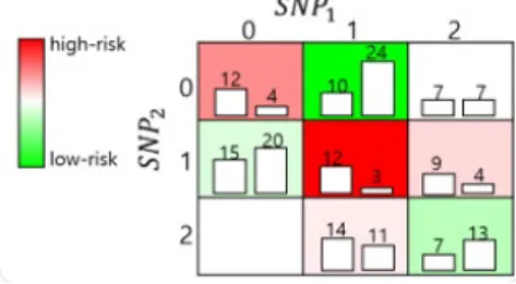 Figure 4.2 Measure membership degrees of multifactor classes using Fuzzy-MDR