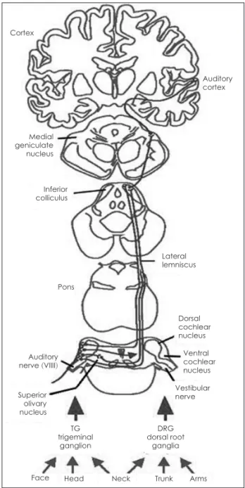 Table 1. 이명의 원인 External ear origin