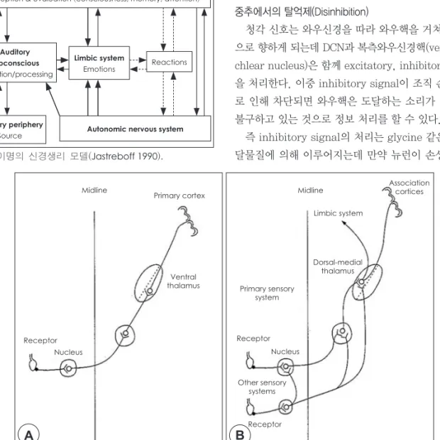 Fig. 3. Role of non-classical pathway in tinnitus. A : Classical pathway. B : Non-classical pathway (Moller 2003).