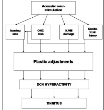 Fig. 4. 이명의 somatic pathway (Levine 2003).  Fig. 5. 음향 과다자극에 의한 신경가소성의 triggering (Kal- (Kal-tenbach 2005).