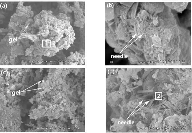 Fig. 5. SEM images of CLSM mixtures: (a) and (b)=FA100; (c) and (d)=FA50BA50. Note that the sections 1 and 2 indicate EDS analysis  areas