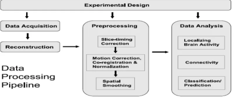 Figure 2.1 fMRI data process pipeline