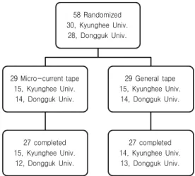 Fig.  2.  Flow  Chart  of  Participants  Disposition