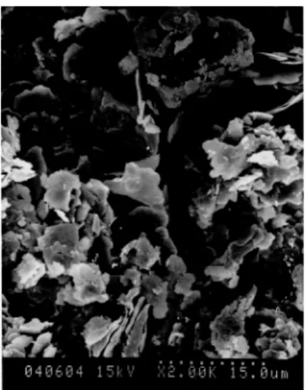 Fig. 1. Mineral structure by SEM analysis Table 2. Component analysis by SEM