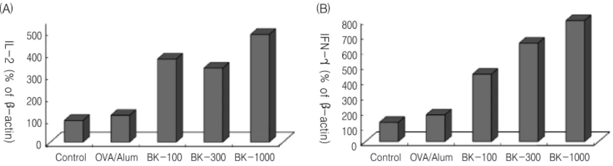 Fig. 5. Effect  of  BK  on  the  cytokines  (A;  IL-2,  B;  IFN-γ)  mRNA  gene  expression  in  splenocytes  from  OVA-immunized  mice.