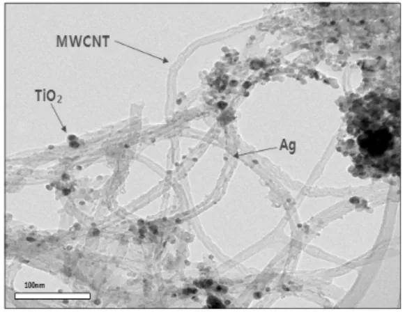 Fig. 7. The color removal (%) of MB solution for MWCNT-TiO 2  composites and Ag-MWCNT-TiO 2  composites under (a) UV-C light and (b)  UV-BLB light irradiation