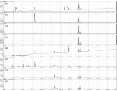 Fig. 2. HPLC  chromatographs  of  a  standard  mixture  (A-D)  of  five  components,  with  detection  at  230  nm  (A),  280  nm  (B),  320  nm  (C),  and  330  nm  (D)