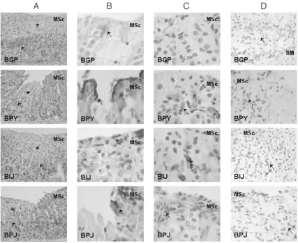 Table 5.  Image  Analysis  of    Mucosal  Leision