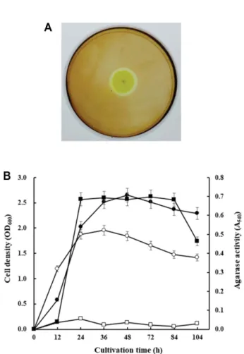 Fig. 1. Production of extracellular agarase by Cellulophaga sp. J9-3. (A) Detection of agarase activity on Marine Agar plate.