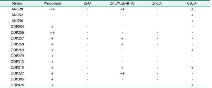 Table 4. Mineral solubilization of isolated strains. 1)