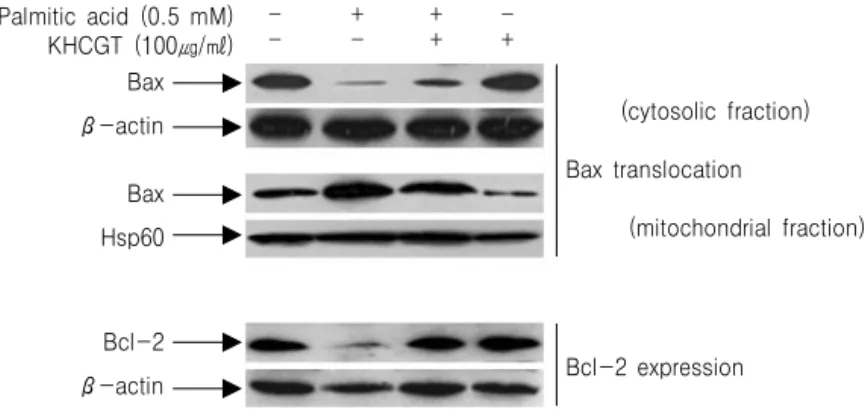 Fig. 5. KHchunggan-tang  (KHCGT)  modulates  the  palmitate-induced  translocation  of  Bax  and  expression  of  Bcl-2.