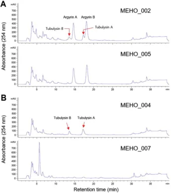 Fig. 4. HPLC chromatograms of the culture extracts. (A) A.