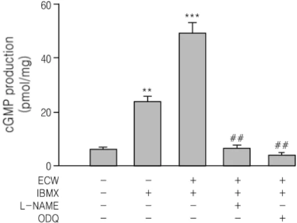 Fig. 2.  Effect  of  ECW  on  cGMP  production  in  endothelium  intact  rat  thoracic  aorta.