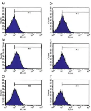 Fig. 6.  Effect  of  ECW  on  TNF-α-induced  ROS  production  in  HASMC.