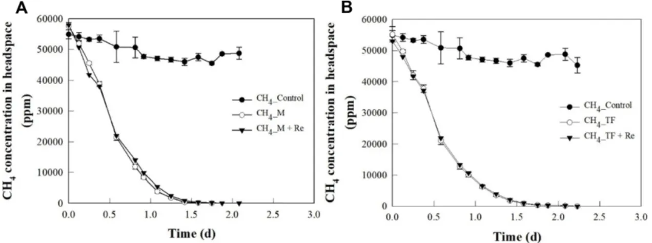 Table 4. Effect of root exudate on the CH 4  oxidation rate of the CH 4 -oxidizing consortium.