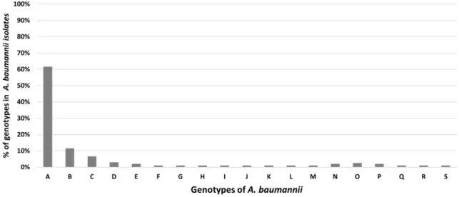 Fig. 5. The relation between the isolates source and different Genotypes A-S: represents the 19 different genotypes obtained in this study