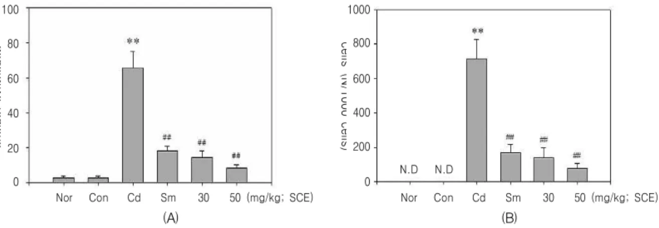 Fig. 5. Effect of SCE on hepatopathies in Cd-induced liver toxicity.