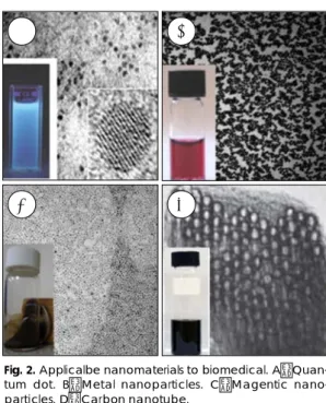 Fig. 2. Applicalbe nanomaterials to biomedical. A：Quan- A：Quan-tum dot. B：Metal nanoparticles