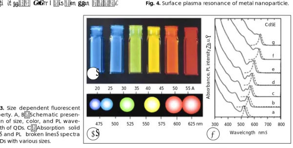 Fig. 3. Size dependent fluorescent property. A, B：Schematic  presen-tation of size, color, and PL  wave-length of QDs