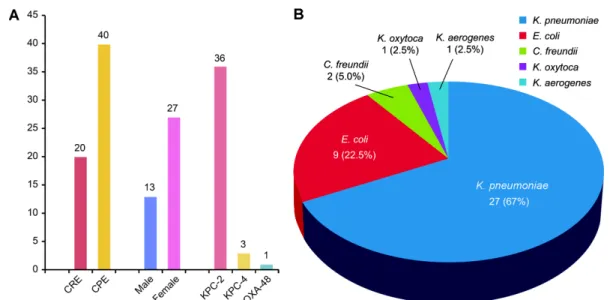 Table 1. Antimicrobial susceptibilities of CPE isolates and phenotypes. 